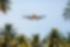 Flugreise in den Urlaub mit Ankunft in tropischem Reiseziel Flugzeug im Landeanflug fliegt frontal über tropische Palmen vor blauem Himmel