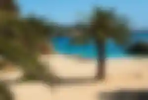 Sandstrand mit Palmen und türkisfarbenem Wasser in Cala d’Or auf Mallorca