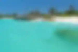 Karibischer Strand in Mexiko mit hellem Sand, Felsen, Palmen und klarem türkisfarbenem Wasser