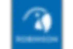 Logo Robinson