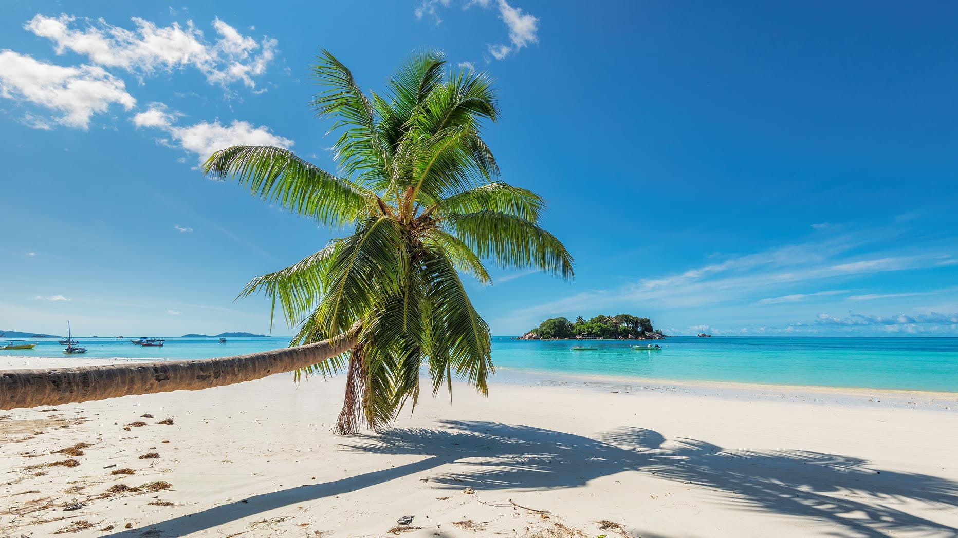 Kuba Strand-Blick mit Palme