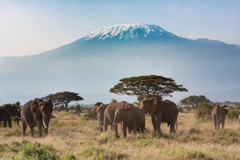 Kilimanjaro Trekking