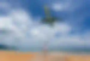 Flugzeug bei Landung nah über Frau am Strand am Mai Khao Beach in Phuket, Thailand