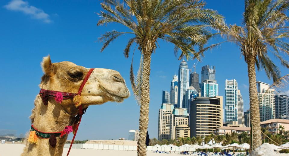 Dubai, Abu Dhabi & der zauberhafte Oman
