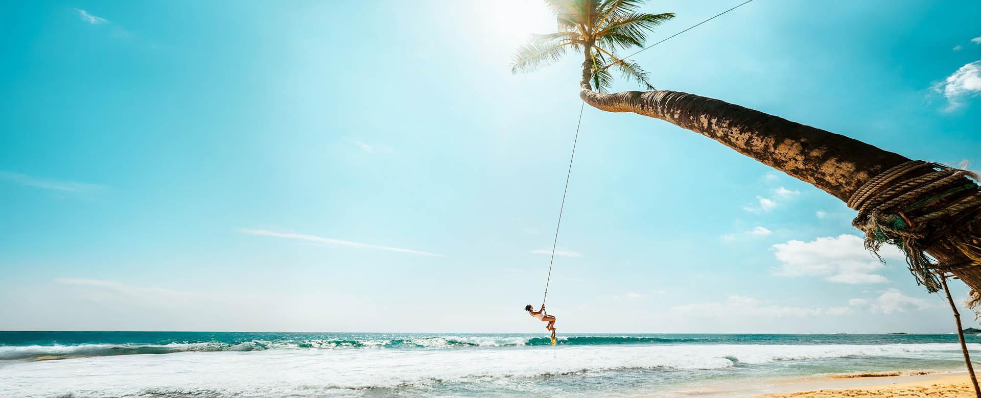 Tropischer Strand mit Palmen-Schaukel in Sri Lanka – warmes Reiseziel im Winter mit türkisblauem Meer