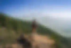 Aussicht auf den Teide auf Teneriffa von einem Aussichtspunkt im Pinienwald