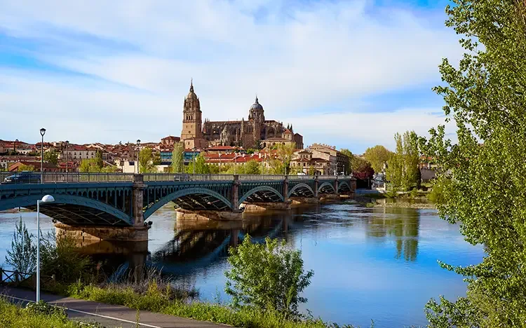 Historische Stadt mit Kathedrale und Brücke über einen ruhigen Fluss, umgeben von Bäumen und Gebäuden.